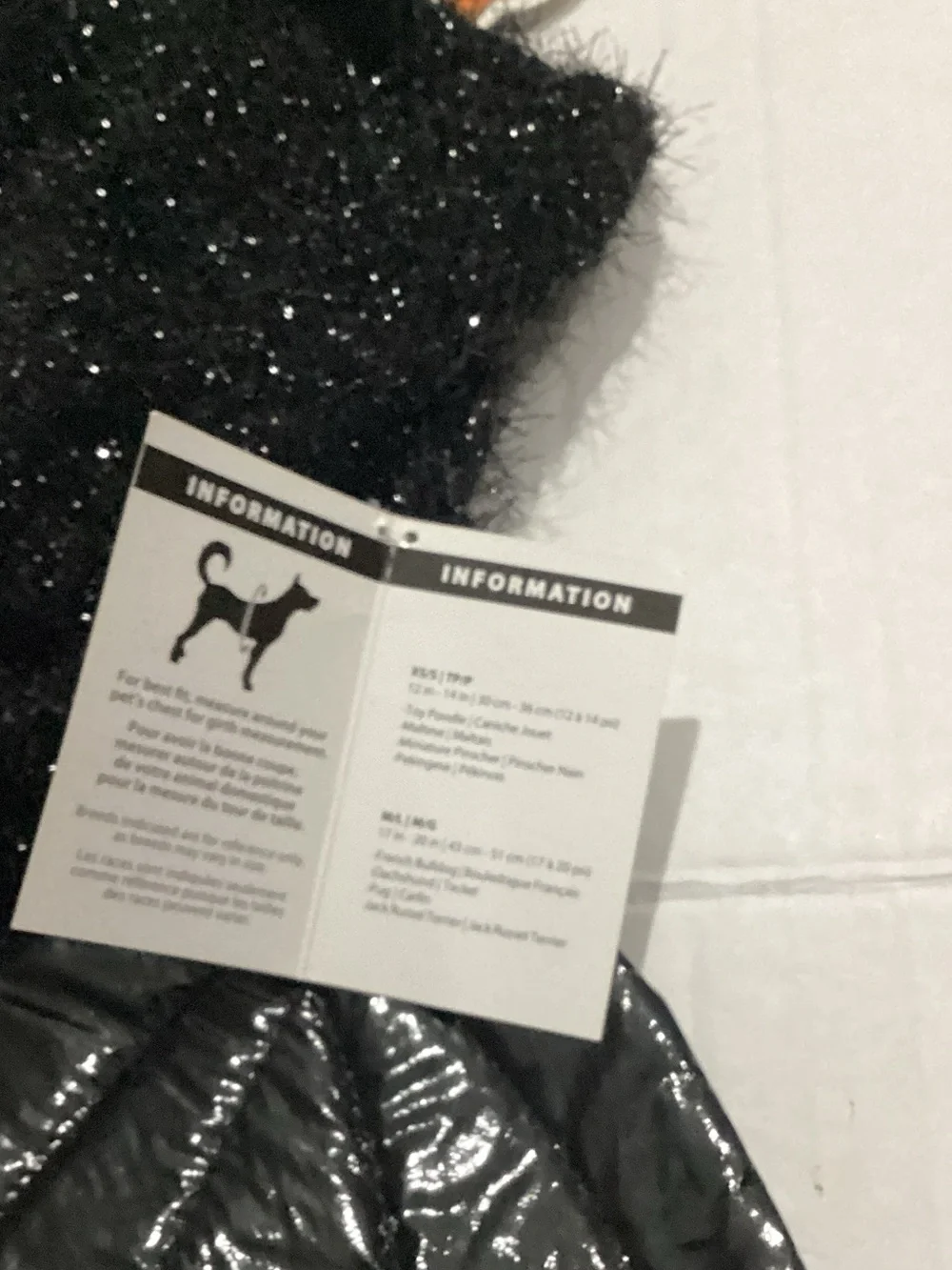 party dog shiny black